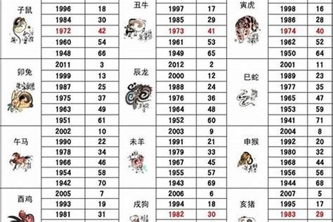 89屬什麼|1989年属什么生肖 和什么属相最配